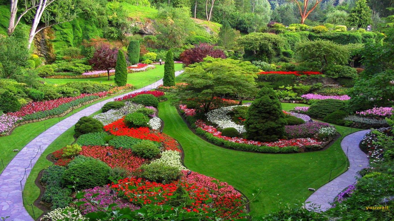 beautiful garden landscape
